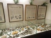 Výlet Přerov nad Labem